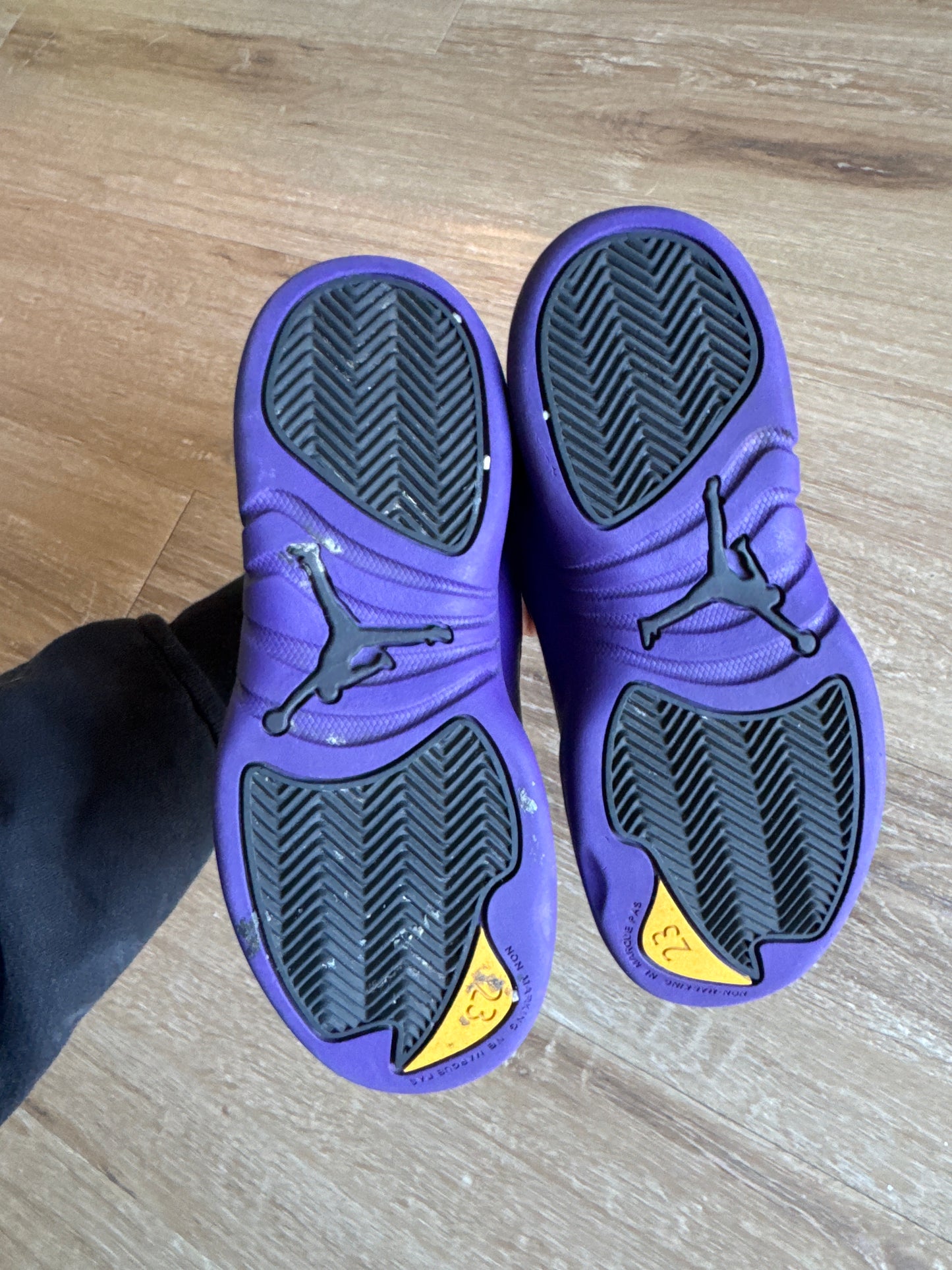 Jordan Retro 12 Field Purple Pre-school