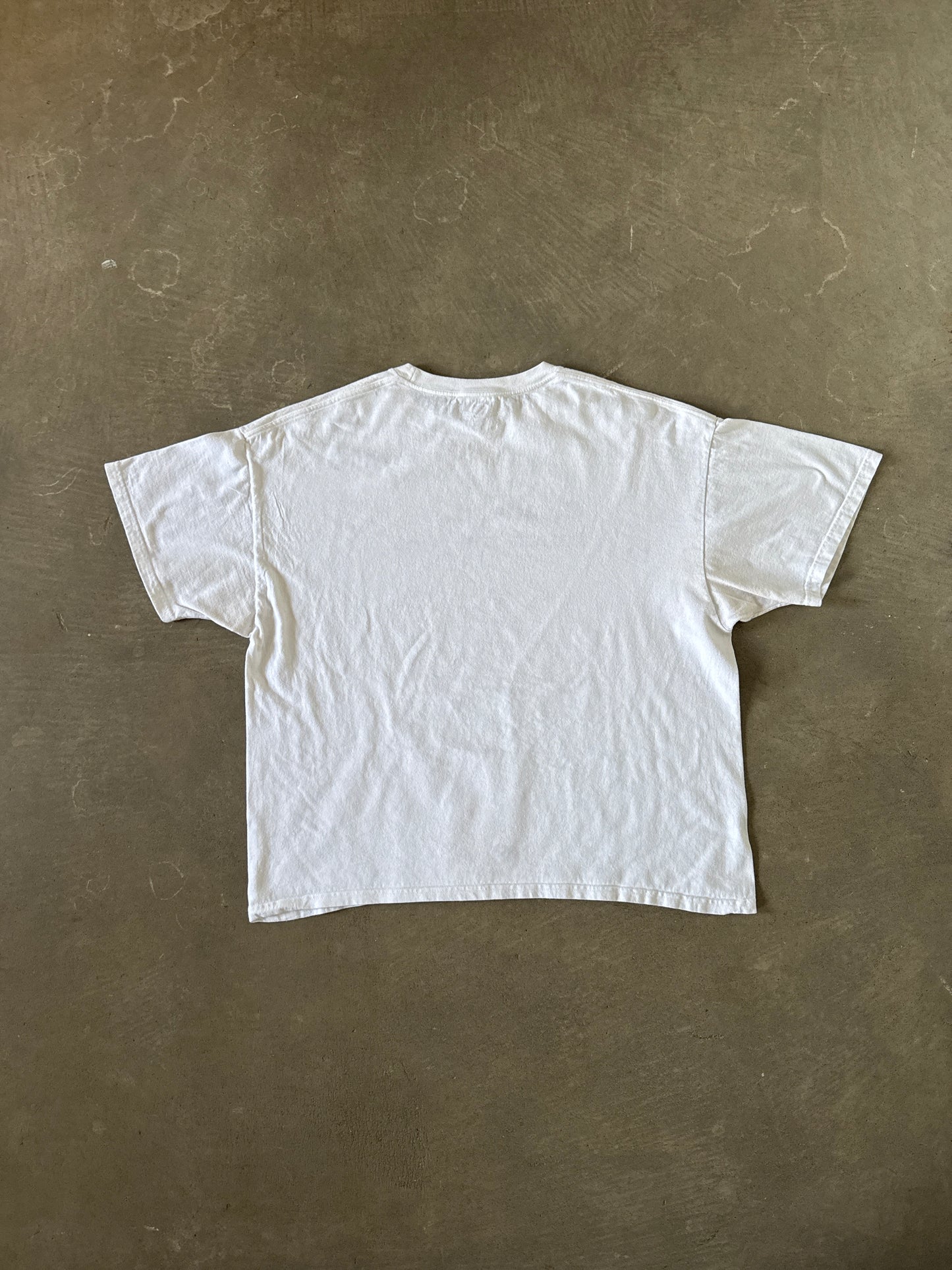 Go Ahead Touch My Junk Boxy Parody Tee