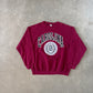 Vintage 90s University Of South Carolina Gamecocks Sweatshirt