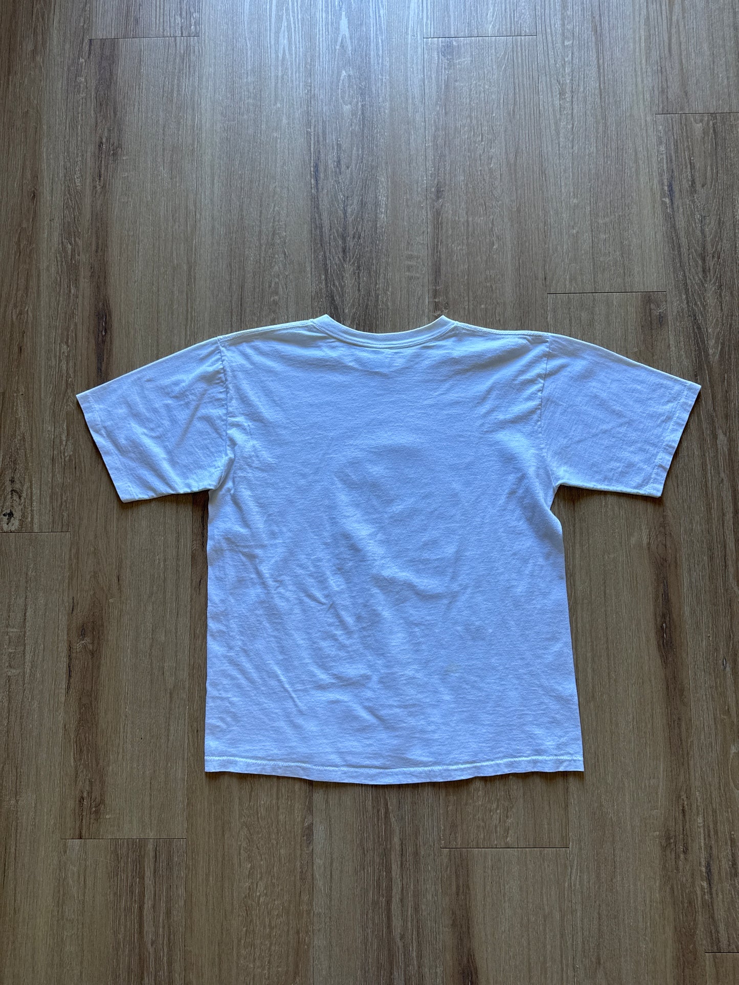 Vintage 1995 University Of South Carolina Gamecocks Great Scott Car Quest Bowl Tee