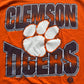 Vintage 90s Tennessee River Gold University Of Clemson Tigers Tee