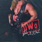 Vintage 1998 Youth WCW Kevin Nash Tee Sweet Wrestling Tee