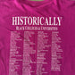 Y2K South Carolina State University Bulldogs Vs. Benedict College Homecoming Tee