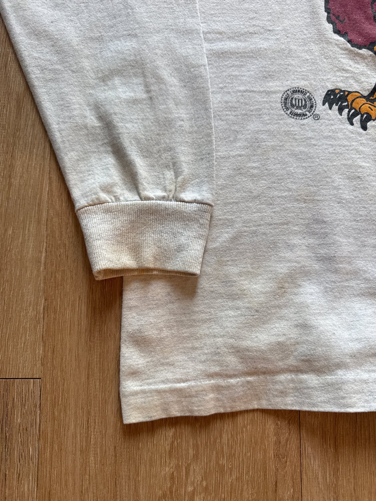 Vintage 1993 The University Of South Carolina Gamecocks Hooded Long Sleeve