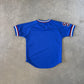 South Carolina State University Bulldogs Baseball Jersey