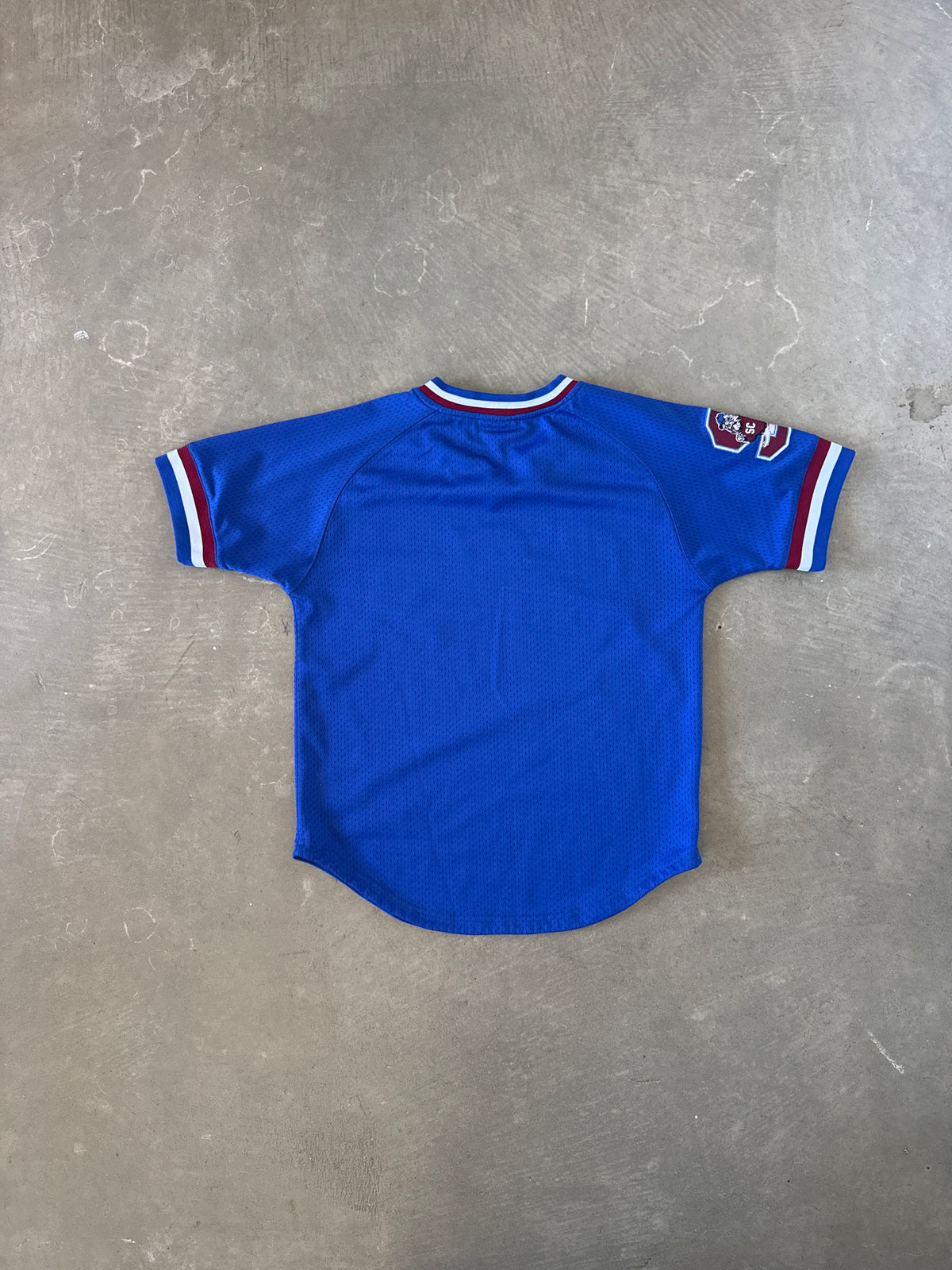 South Carolina State University Bulldogs Baseball Jersey