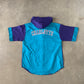 Vintage 90s Charlotte Hornets Hooded Tee Shorts Set
