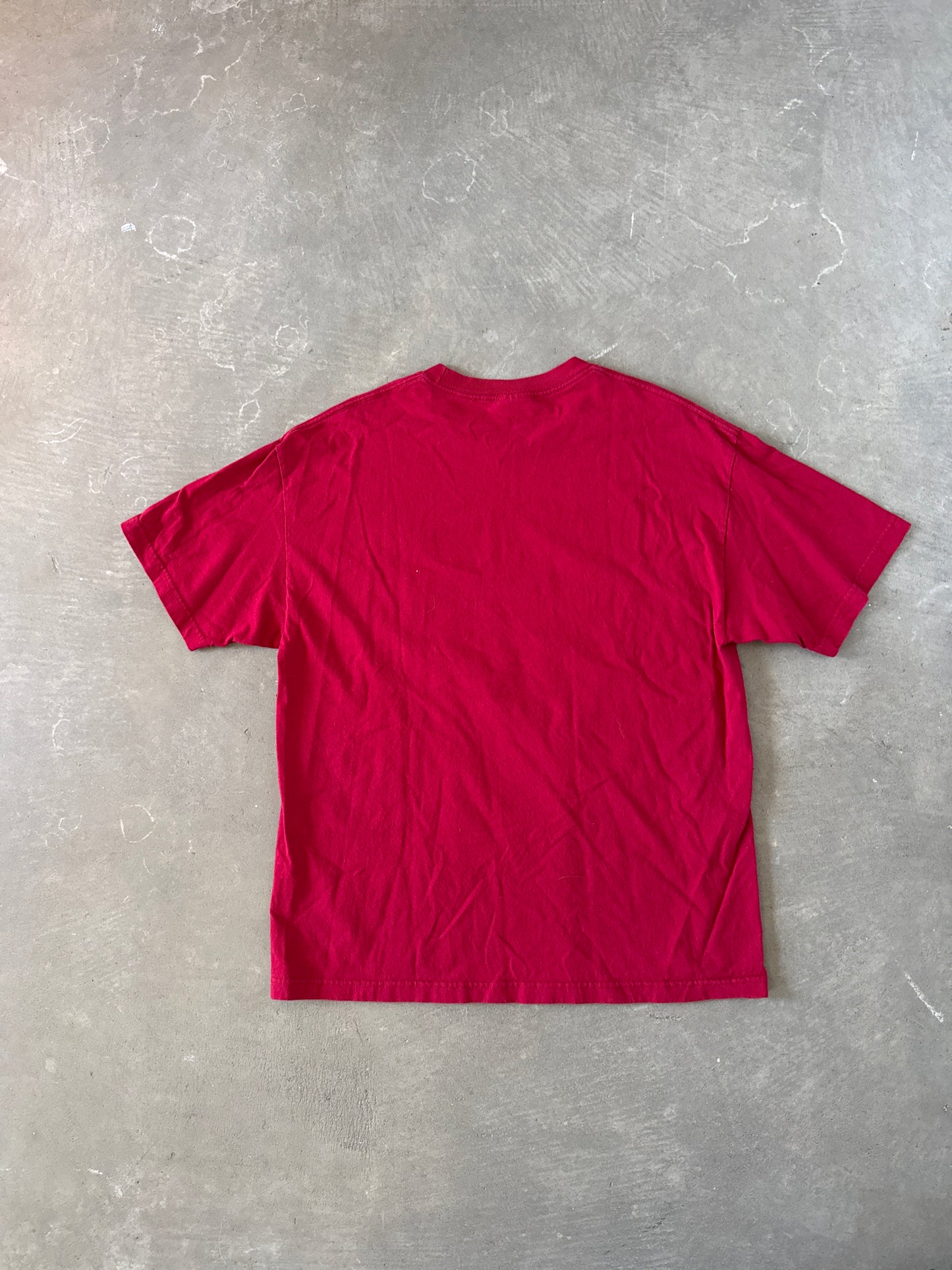2010 University Of South Carolina Gamecocks Eastern Division Champions Tee