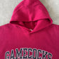 Vintage 90s Russell Athletic University Of South Carolina Gamecocks Hoodie