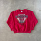 Vintage 90s University Of South Carolina Fighting Gamecocks Sweatshirt