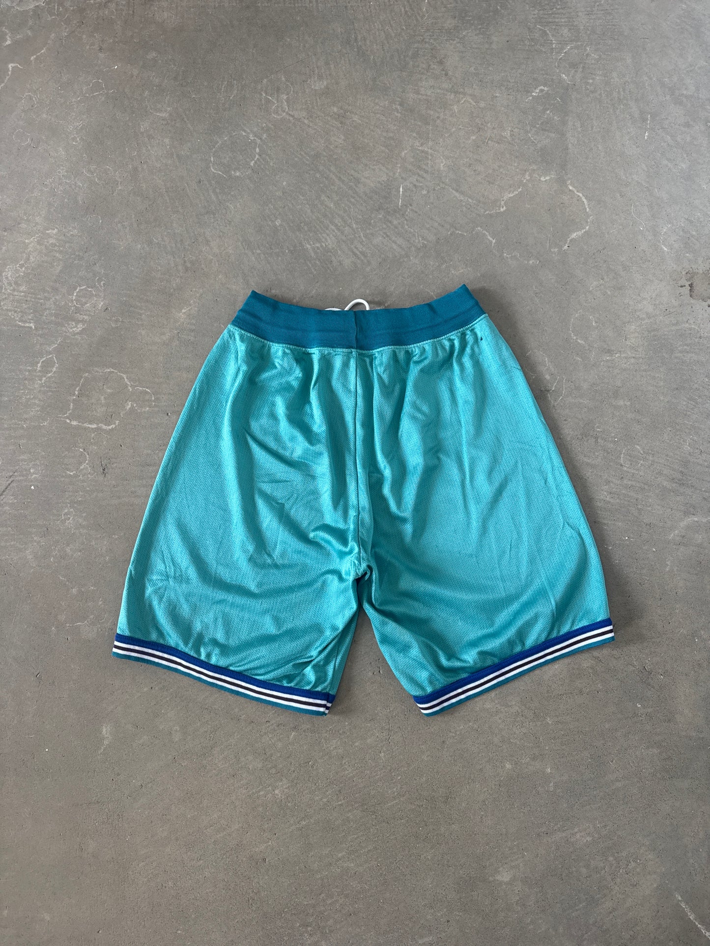 Vintage Champion Charlotte Hornets Shorts