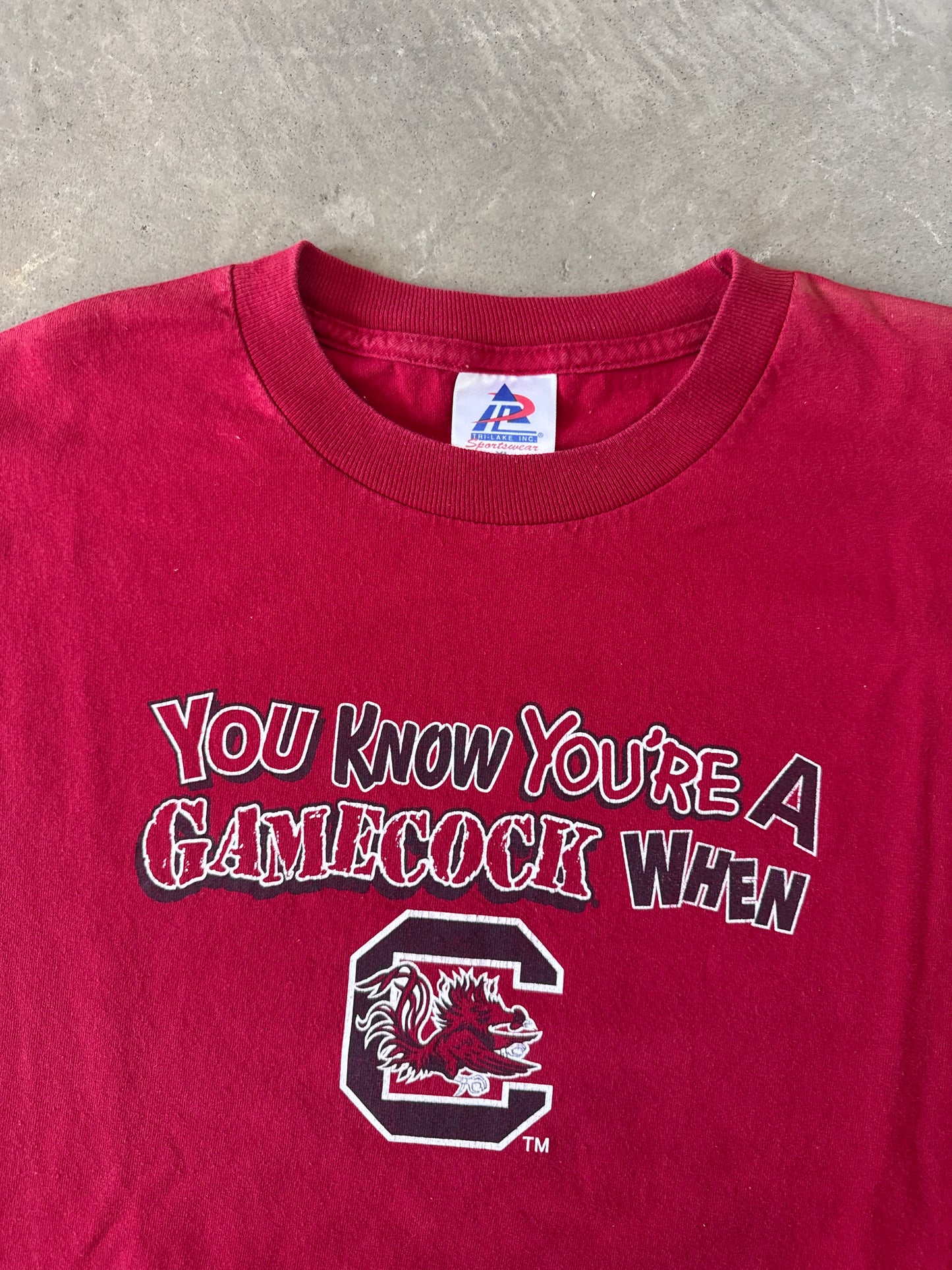 Vintage University Of South Carolina Gamecocks You Know You’re A Gamecock Tee