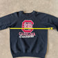 Vintage 80s University Of South Carolina Gamecocks Sweatshirt