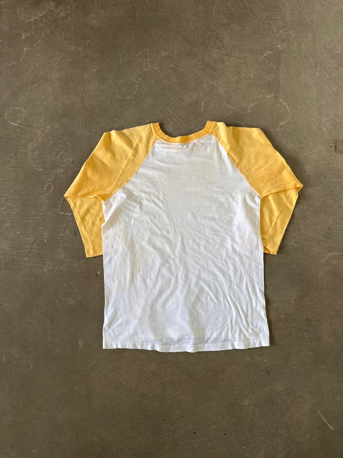 Vintage The 1982 World’s Fair Knoxville Tennessee Raglan Tee