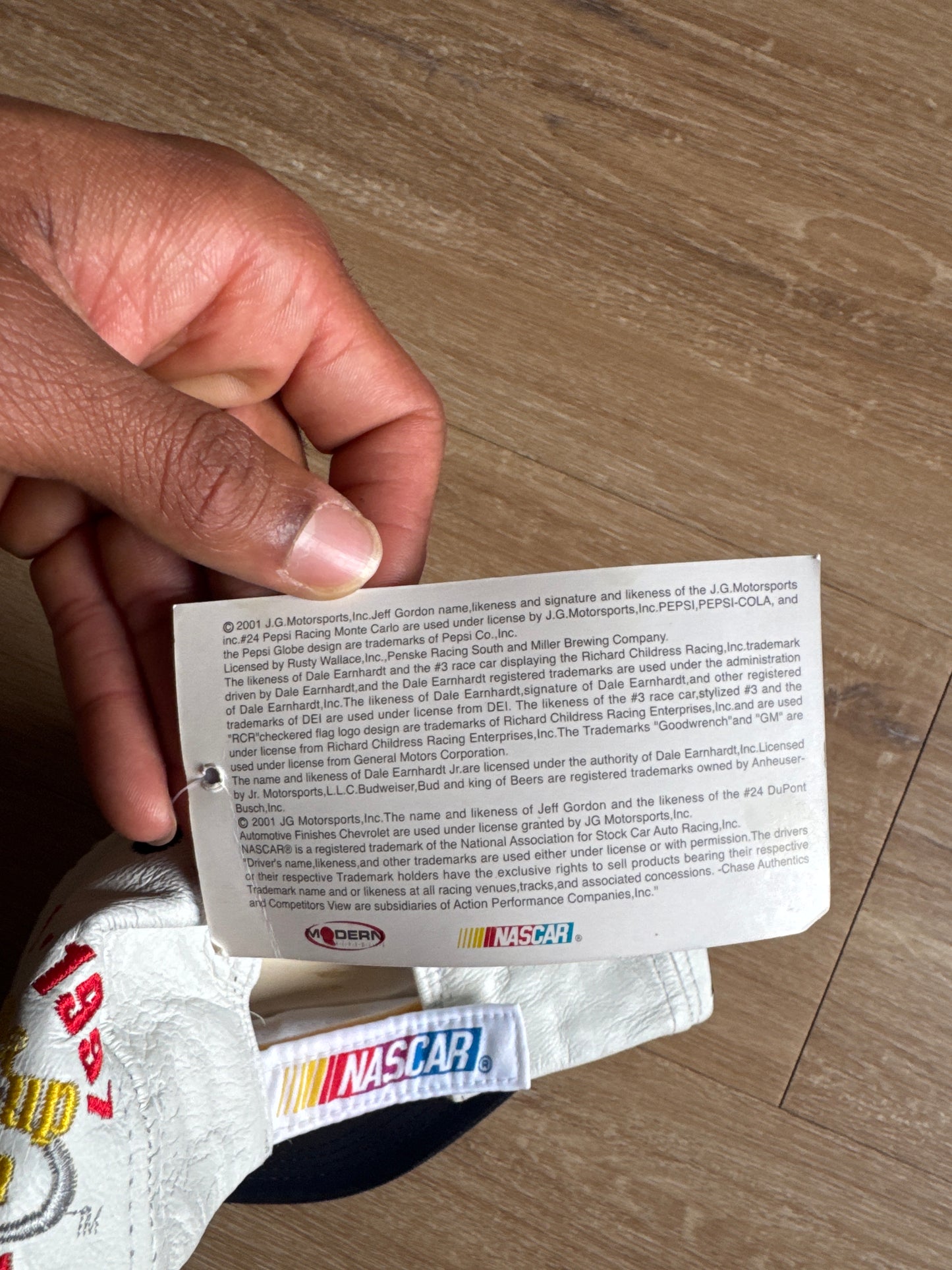 Vintage 2001 Nascar Jeff Gordon Winston Cup Series Champion Strap Back Hat