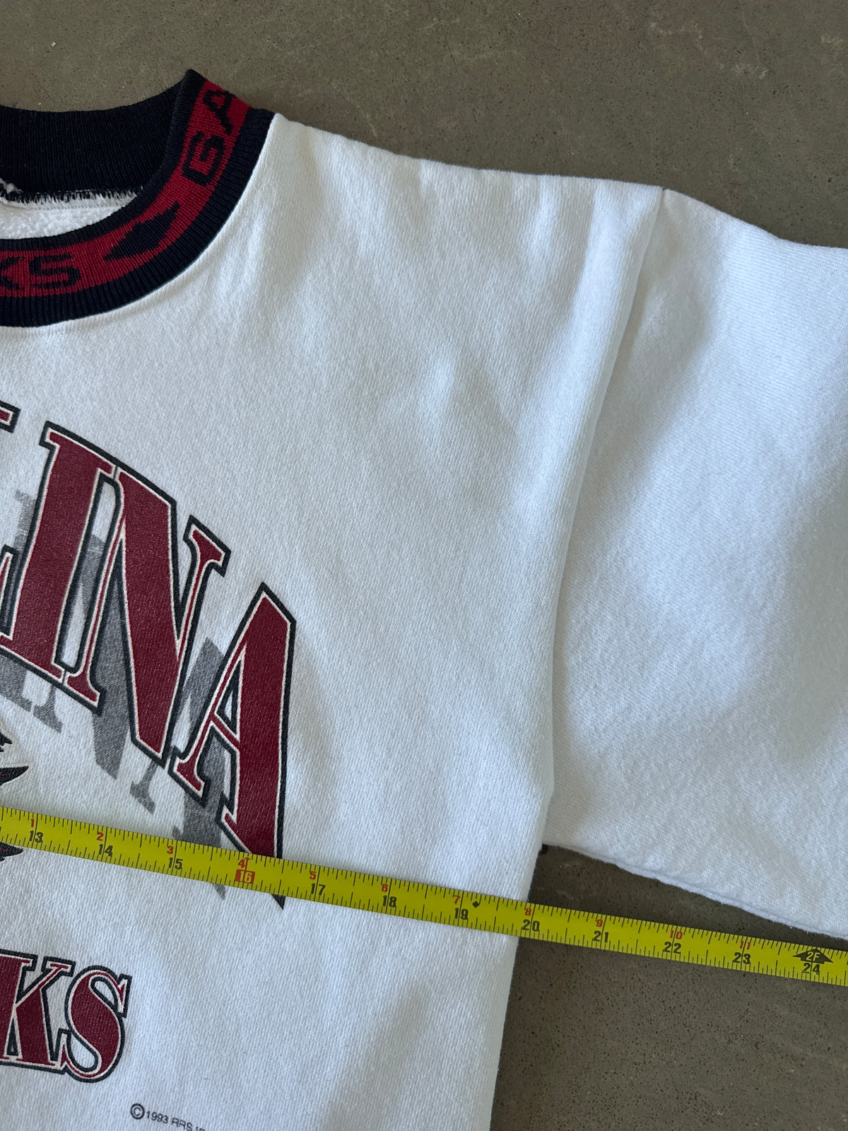Vintage 90s University Of South Carolina Gamecocks Sweatshirt