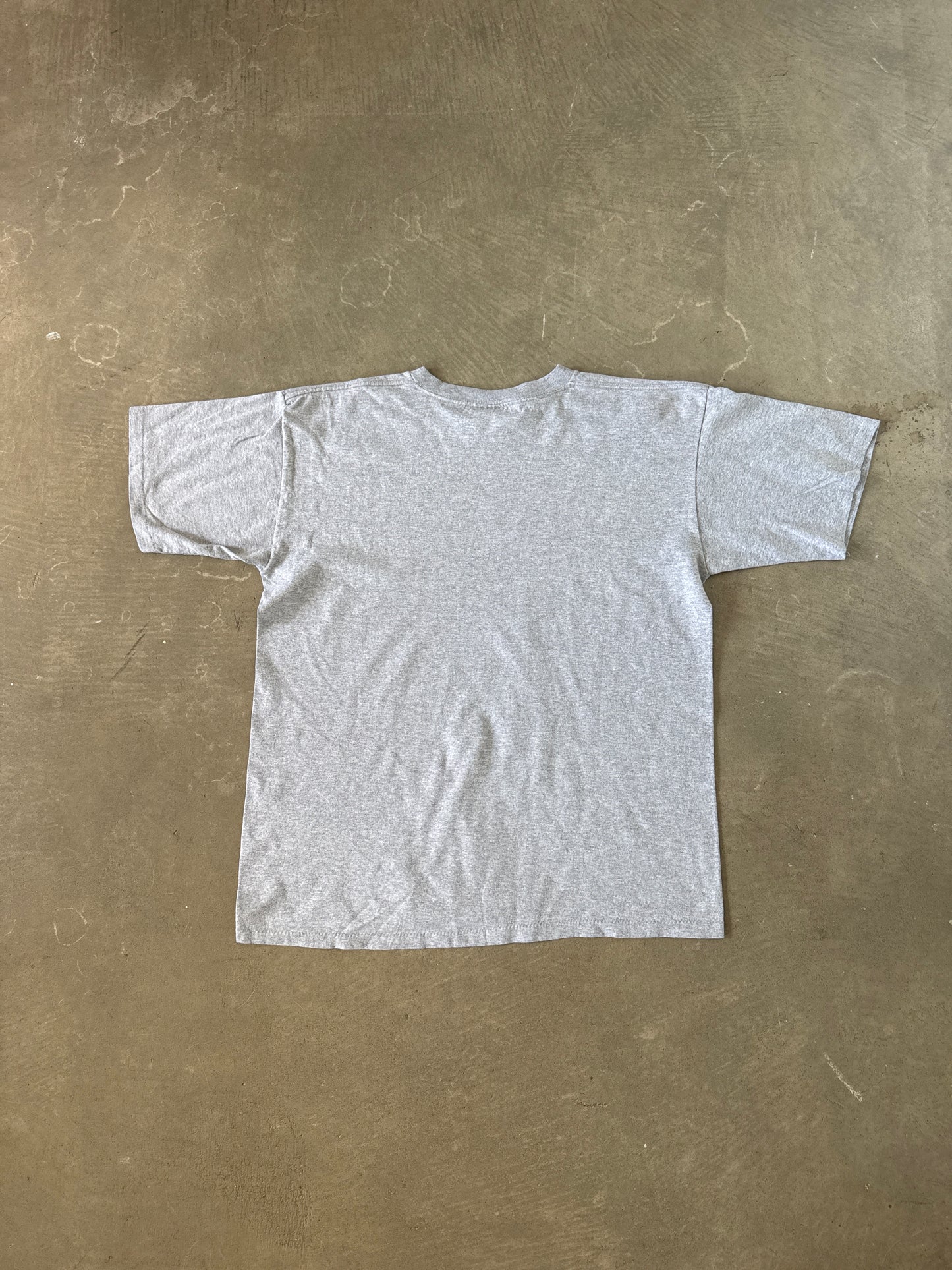 Vintage Dynasty University Of South Carolina Gamecocks Tee