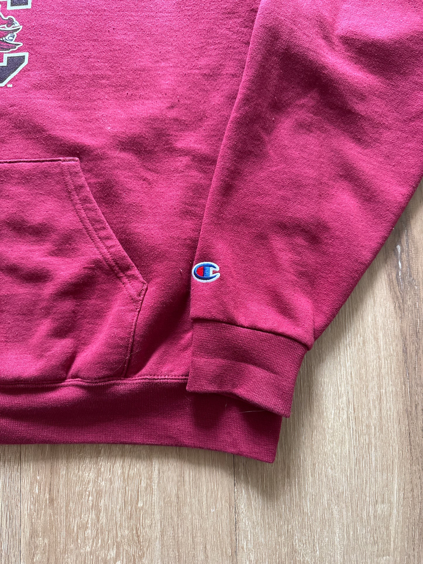 Champion University Of South Carolina Gamecocks Logo Hoodie